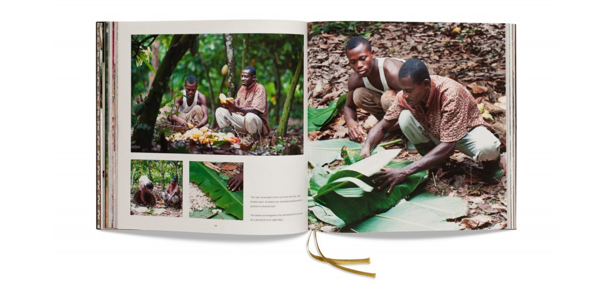 Pagina cacao uit boek Growing with Ghana